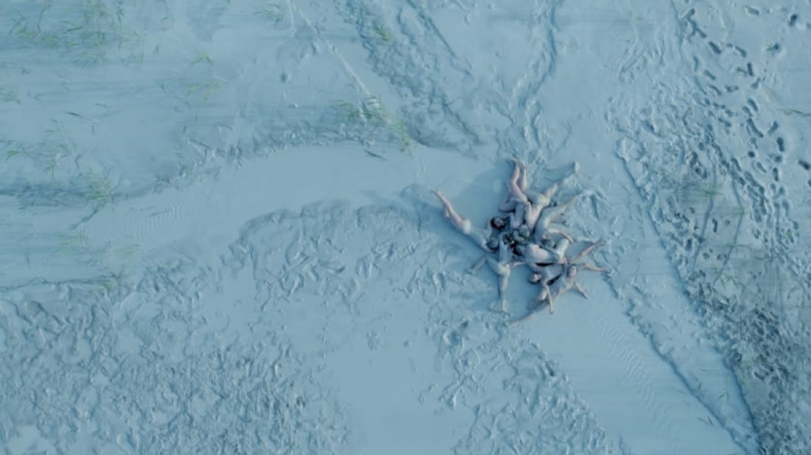 Please the trees: Infinite dance
